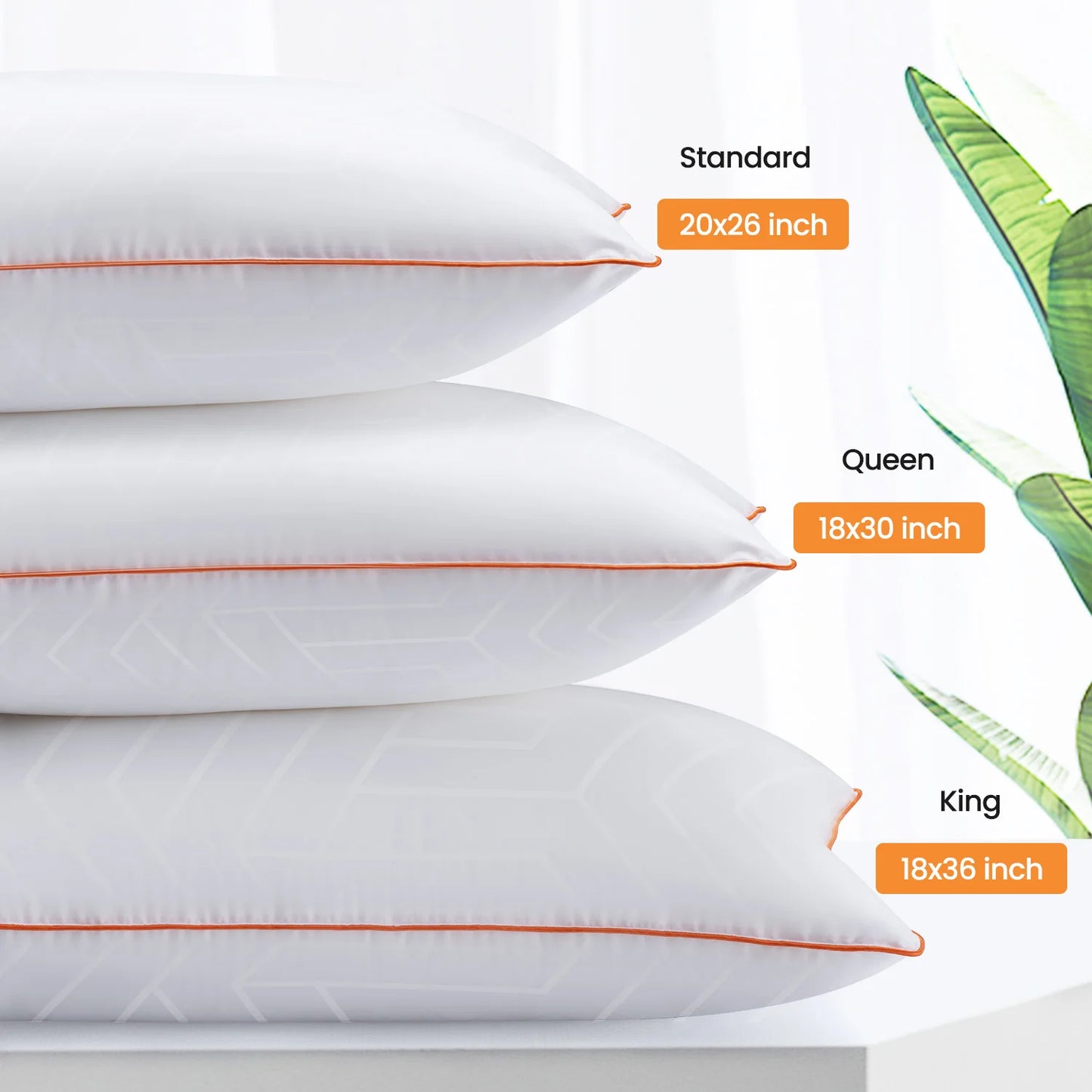 Maxzzz Bed Pillows Standard or King Size