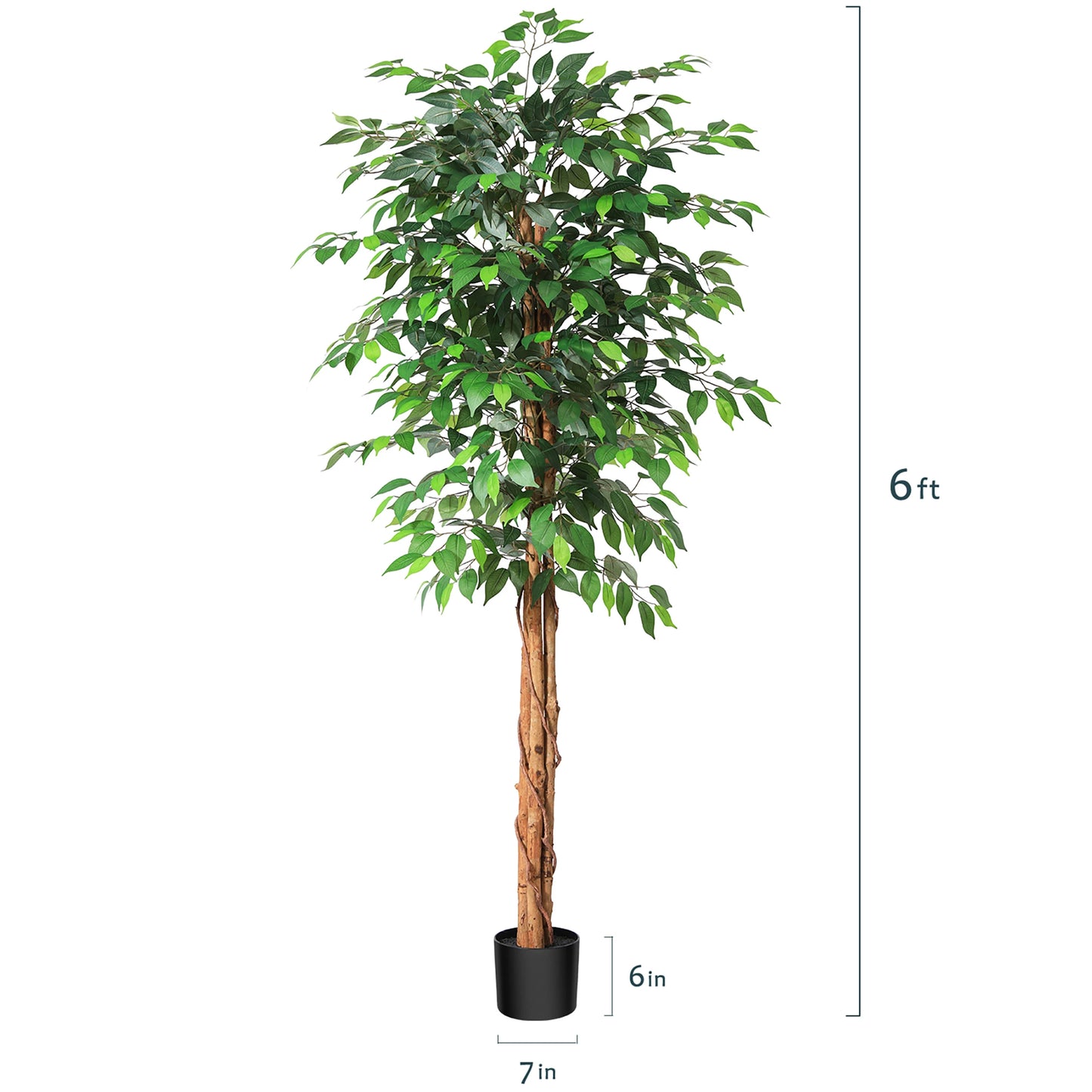 Artificial Ficus Tree with Natural Curved Trunk