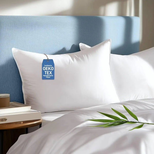 Set of 2 Queen Size Hypoallergenic Pillows