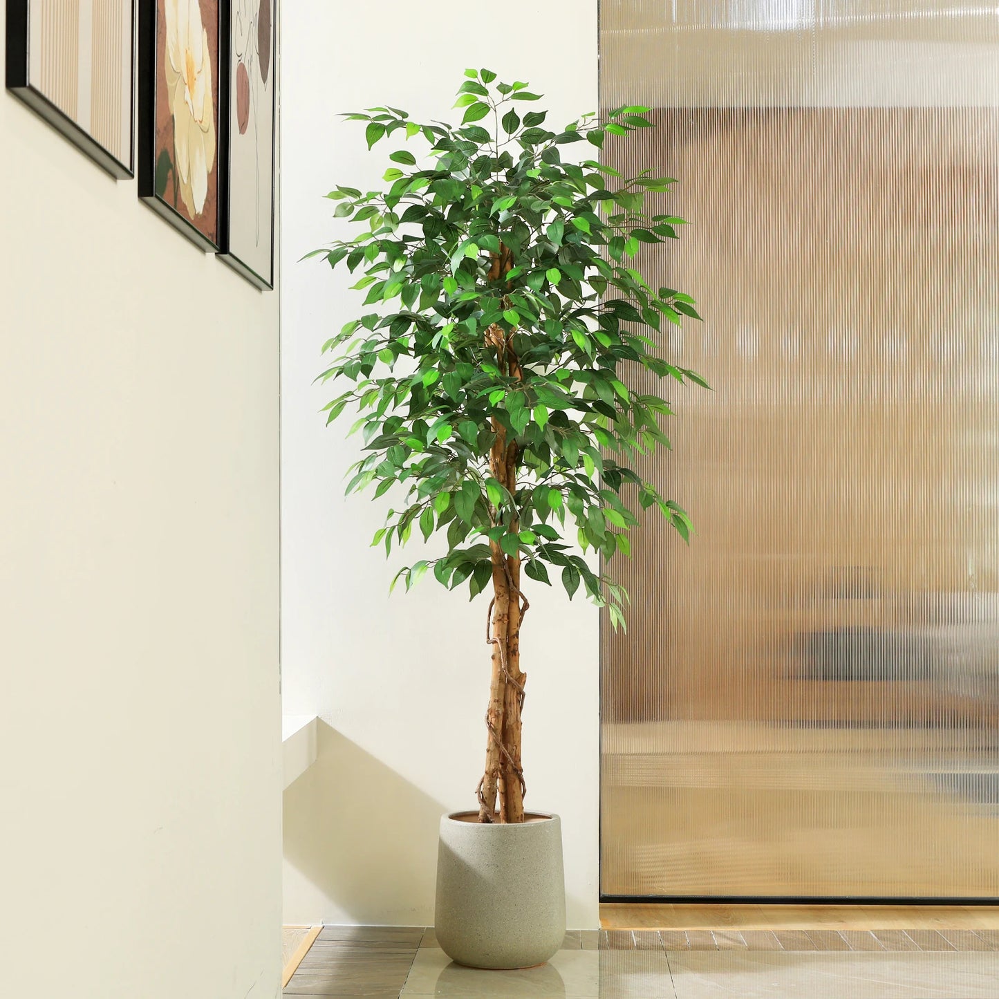 Artificial Ficus Tree with Natural Curved Trunk