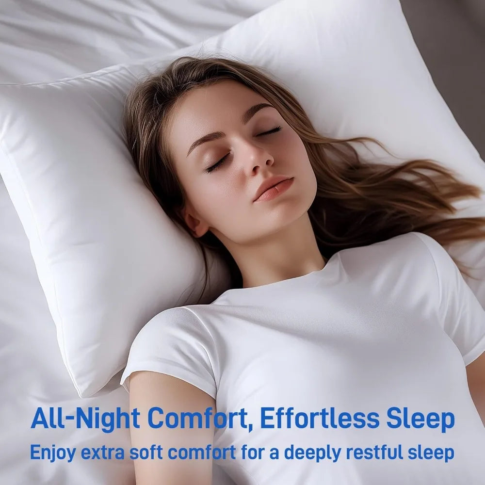 Set of 2 Queen Size Hypoallergenic Pillows