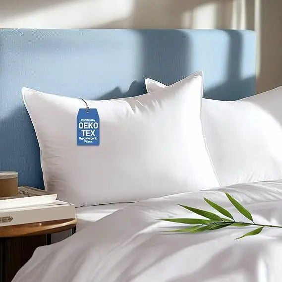 Set of 2 Queen Size Hypoallergenic Pillows