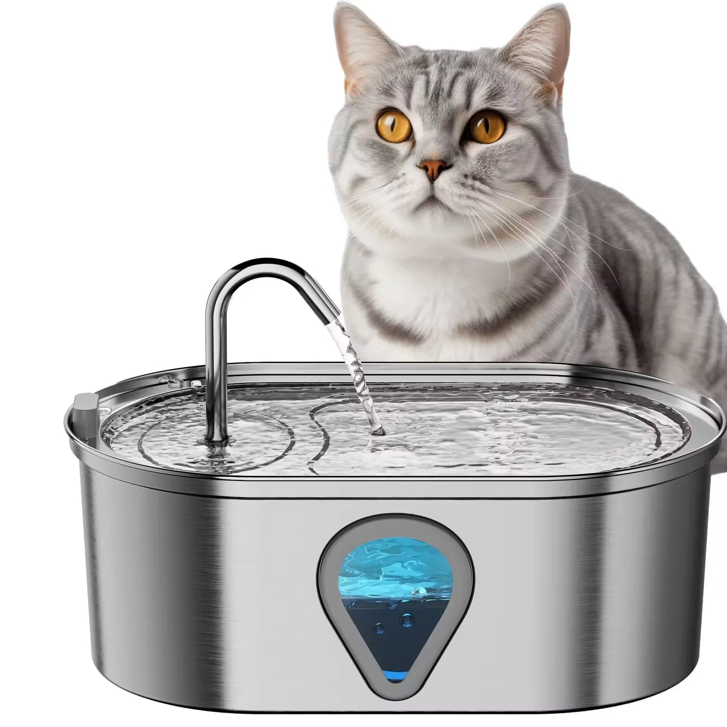 3.5 L Large Capacity WF170 Pet Water Dispenser